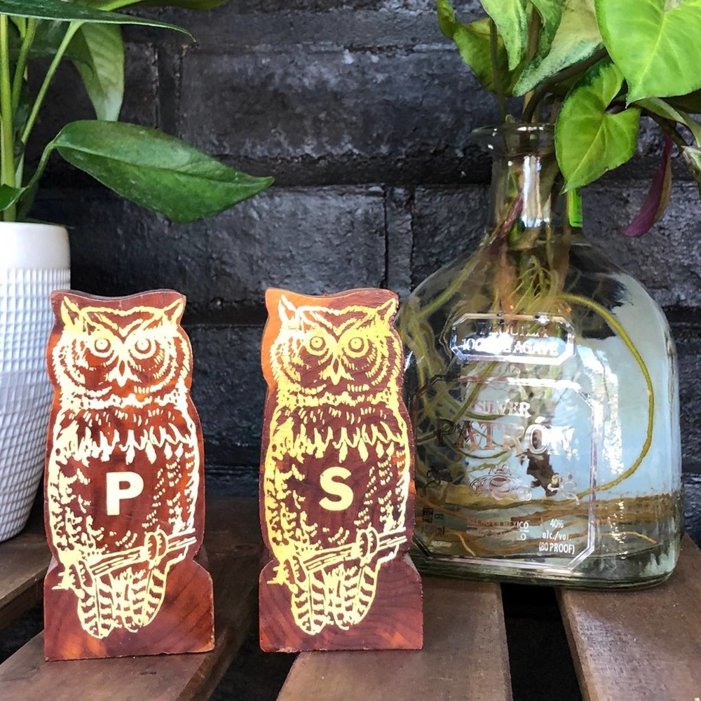 Vintage Wood Owl Salt & Pepper Shakers